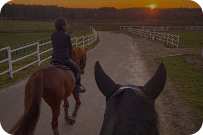 Horse riding at sunset